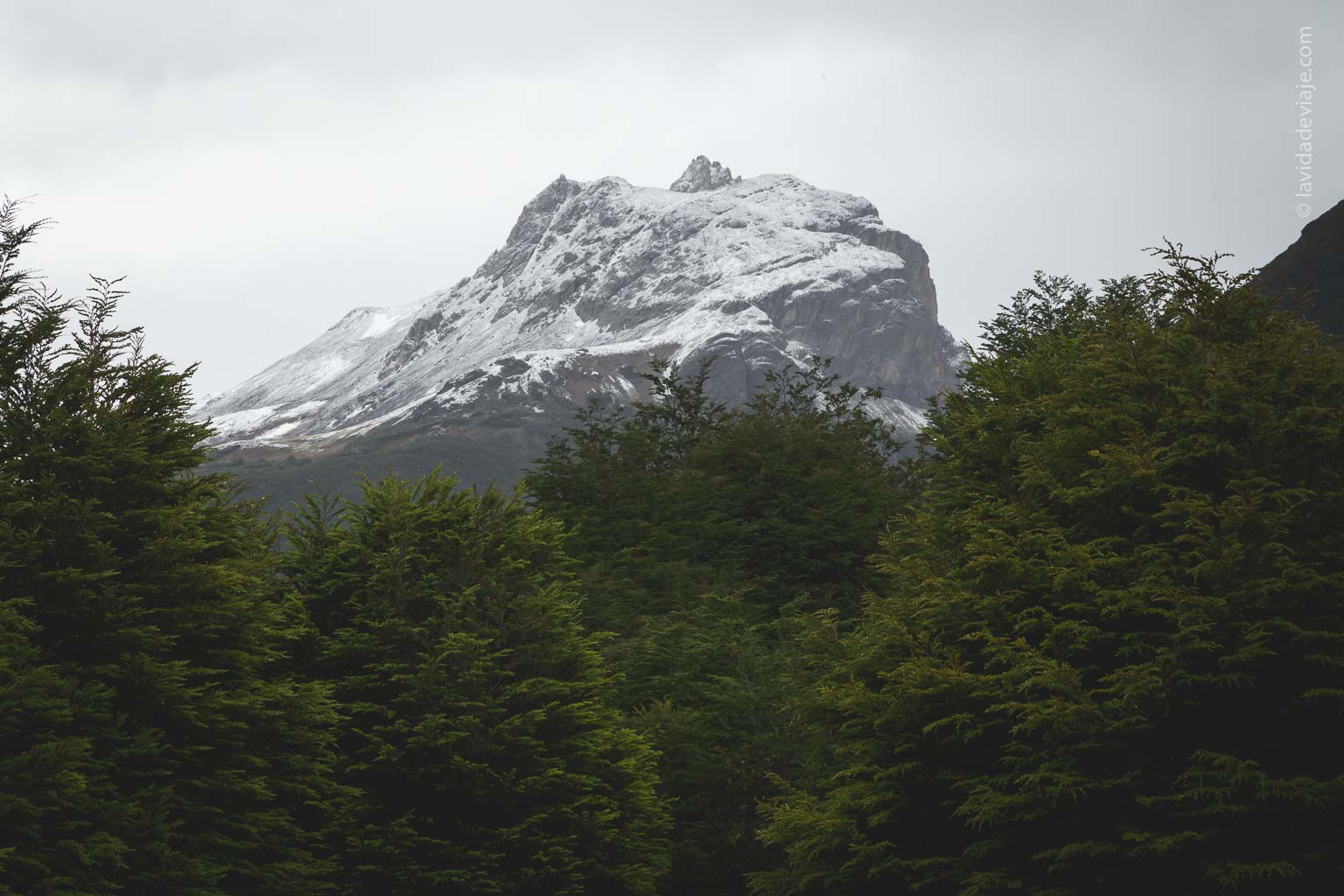 Cerros en el Parque Nacional Tierra del Fuego